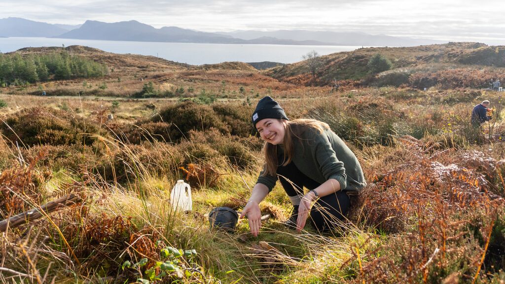 Young woman planting an oak tree in Tormore Forest with sea views in background
