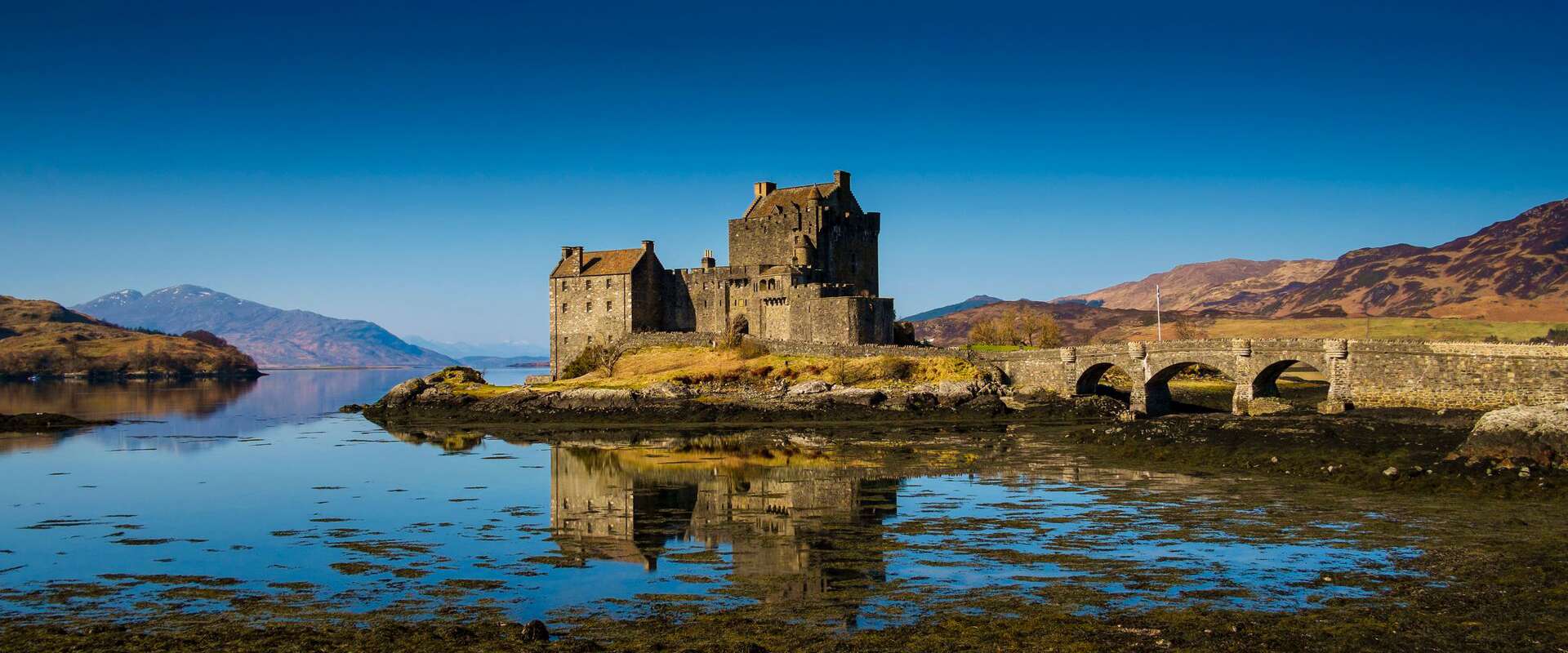 Home page header Image