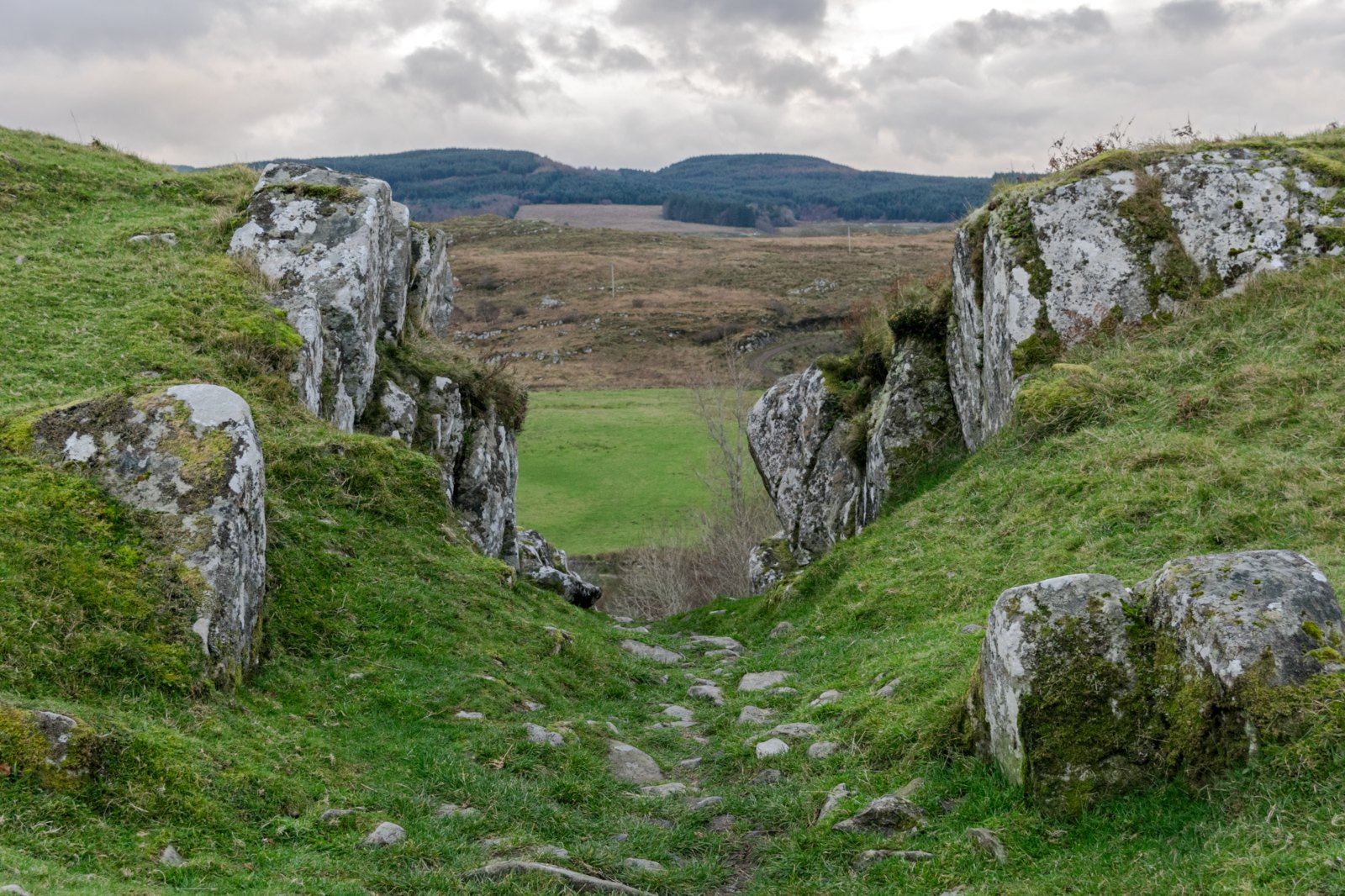 image of Highlight Tour of Isle of Islay Scotland