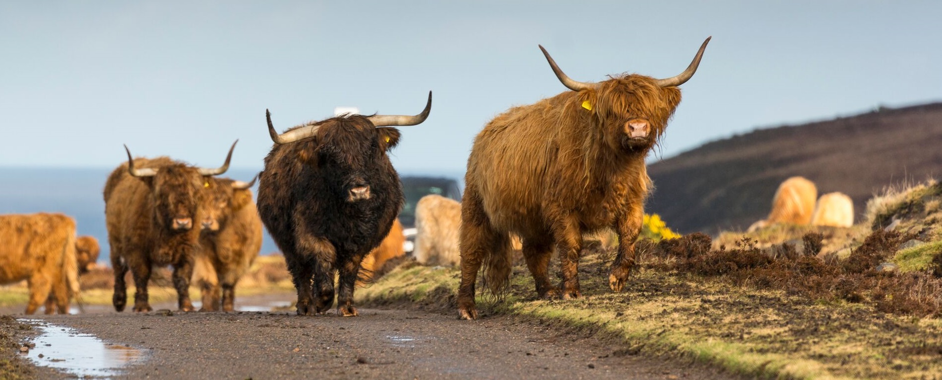 Home page header Image