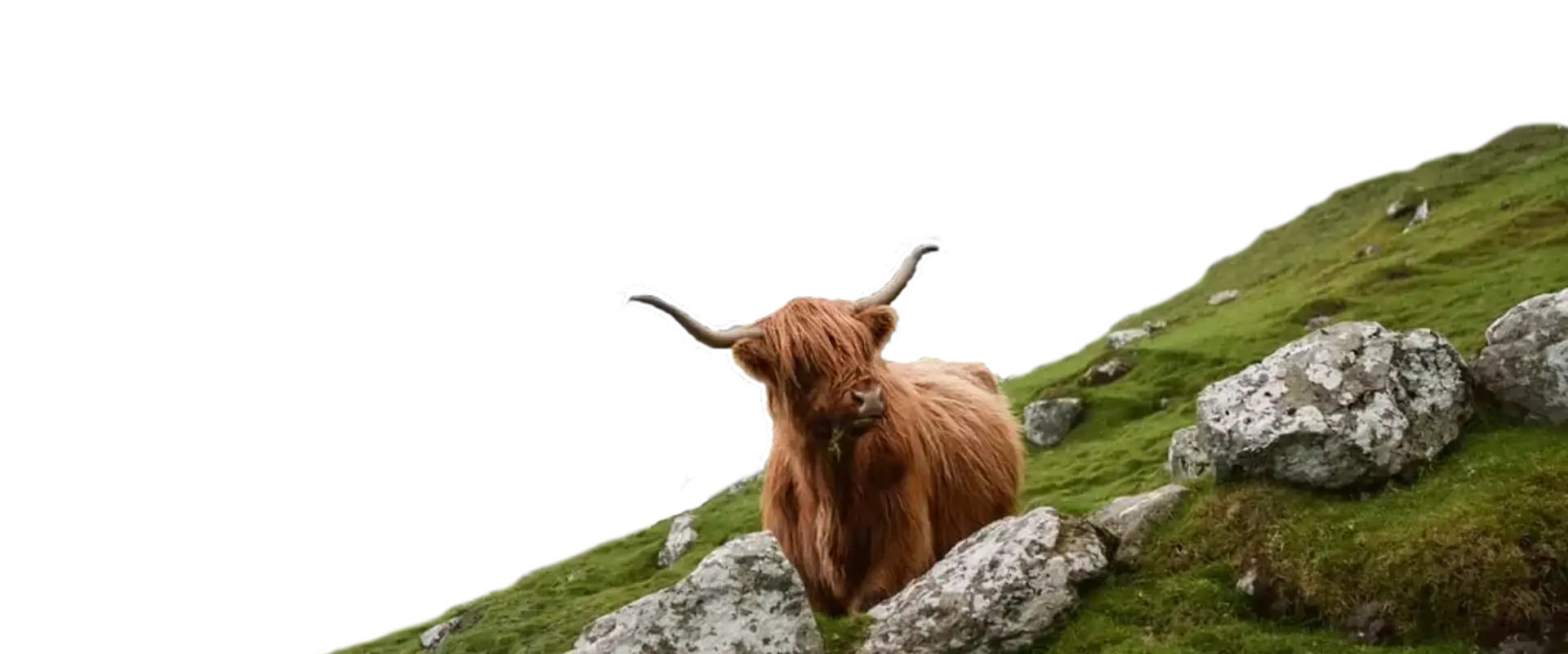 Home page header image