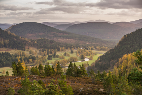image of Highlight Cairngorms National Park Scotland tours 