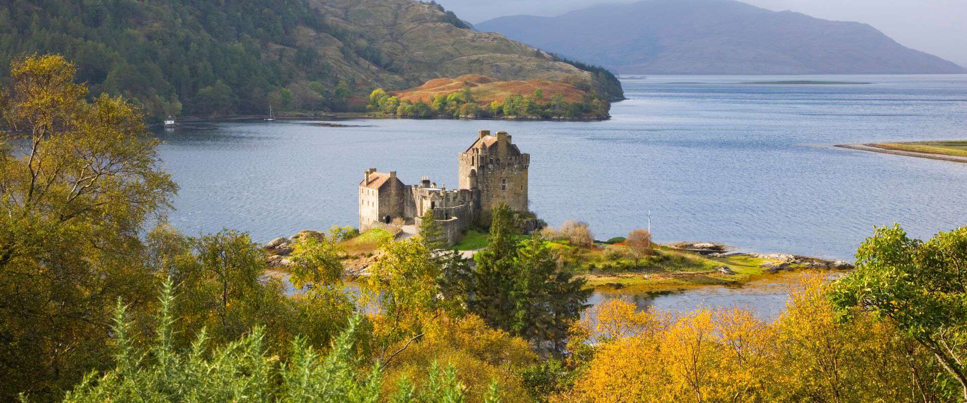 Home page header Image