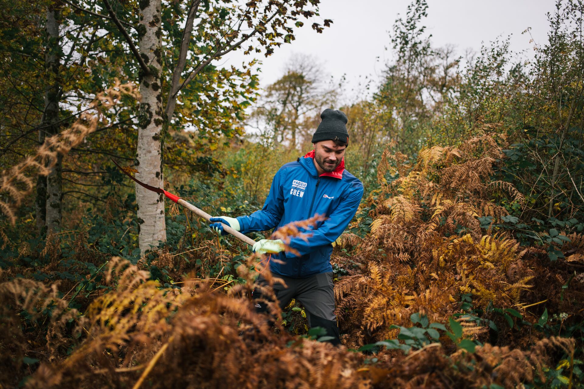 Image by April Bright of Tartan Tom Removing Weeds